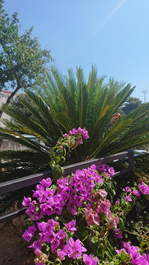 Apartments Rose Baška Voda エクステリア 写真